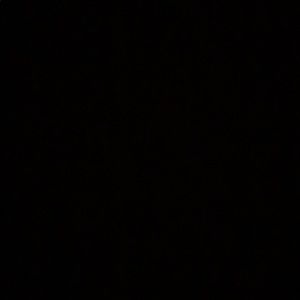 Meet your Posher, Ingrid